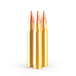 .223 REMINGTON 55 gr. FMJ